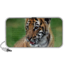 Un tigre de bébé mignon haut-parleurs mp3
