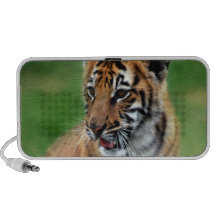 Un tigre de bébé mignon haut-parleurs PC