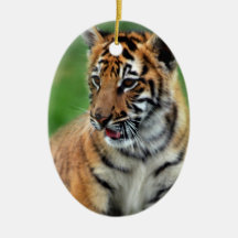 Un tigre de bébé mignon ornement