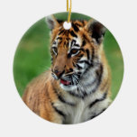 Un tigre de bébé mignon décorations pour sapins de noël