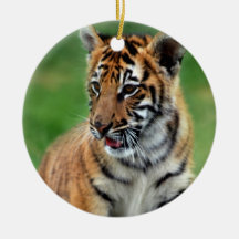 Un tigre de bébé mignon décorations pour sapins de noël
