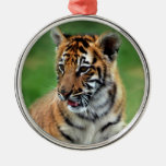 Un tigre de bébé mignon ornement de noël