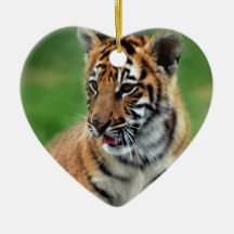 Un tigre de bébé mignon ornement de noël