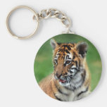 Un tigre de bébé mignon porte-clés