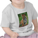 Un tigre de bébé mignon t-shirt