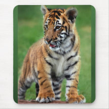 Un tigre de bébé mignon tapis de souris