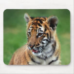 Un tigre de bébé mignon tapis de souris