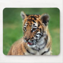 Un tigre de bébé mignon tapis de souris