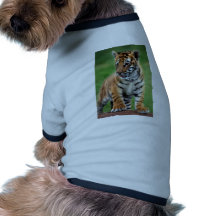 Un tigre de bébé mignon manteau pour animal domestique