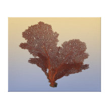 Undersea Red Sea Fan Nautical Style Wrapped Canvas Canvas Prints
