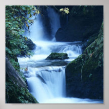 Une affiche d'impression de cascade de Quinault