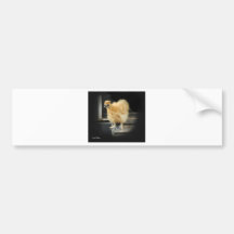 une belle image petite de poulet de Silkie Autocollant Pour Voiture