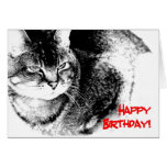 Une carte d'anniversaire - chat Moitié-Birman