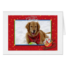 Une carte de Noël de golden retriever