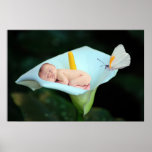 Une fleur de bébé et de nénuphar posters