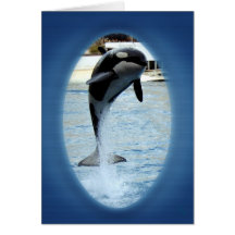 Une orque chez Marineland (France) Cartes