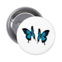 Une paire de papillons bleus tropicaux badges avec agrafe
