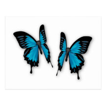 Une paire de papillons bleus tropicaux cartes postales