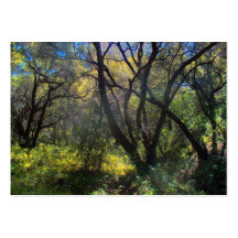 Une promenade en nature cartes de visite personnelles
