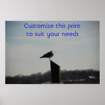 Une sérénité d'oiseaux pendant les heures même posters