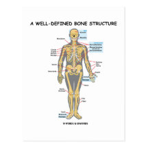 Une structure bien définie d'os (squelette humain) carte postale