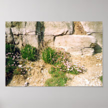 Usines de roche posters