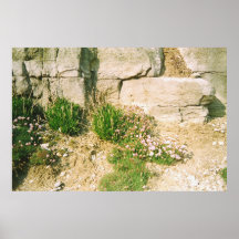 Usines de roches poster