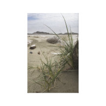 Usines sur la plage (copie de toile) toile tendue