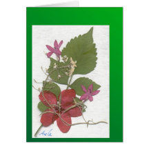 Vacances Ixora Carte De Vœux