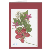 Vacances Ixora II Carte