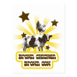 Vache 2 à Brown de poulet de Brown Cartes Postales