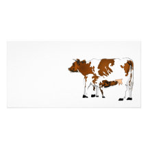 Vache à mère avec le veau modèle pour photocarte