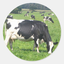 Vache Adhésifs Ronds