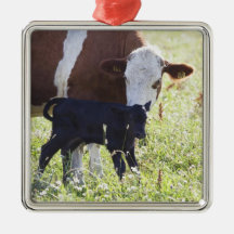 Vache et veau ornements