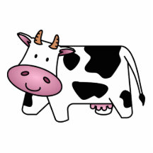 Vache heureuse photos en relief