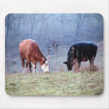 Vaches à simmenthal d'Angus frôlant Mousepad Tapis De Souris