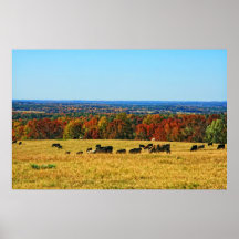 Vaches avec une vue posters