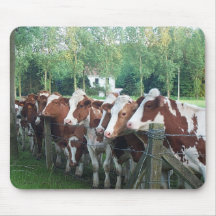 Vaches curieuses tapis de souris