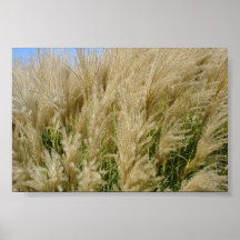 Vagues de grain poster