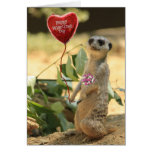 Valantine Meerkat 2 Cartes De Vœux