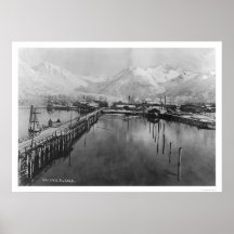 Valdez, Alaska Birdseye 1905 Posters