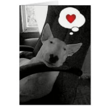 valentine anglais de bull-terrier cartes