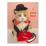 Valentine Kitty Carte Postale