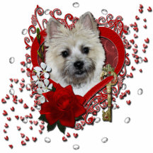 Valentines - clé à mon coeur - cairn Terrier Photo Sculptures