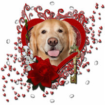 Valentines - clé à mon coeur - golden retriever - photos en relief