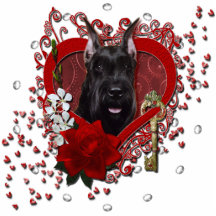 Valentines - clé à mon coeur - Schnauzer Photo Sculpture
