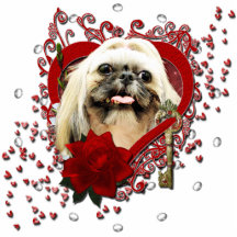 Valentines - clé à mon coeur - Shih Tzu - opale Photo Sculpture