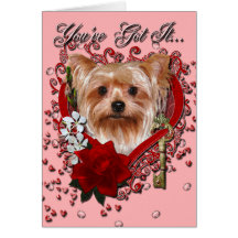Valentines - clé à mon coeur - Yorkshire Terrier Carte De Vœux