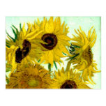 Van Gogh : Beaux-arts de cru de tournesols du vase Carte Postale