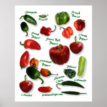 Variétés de poivre de piment posters